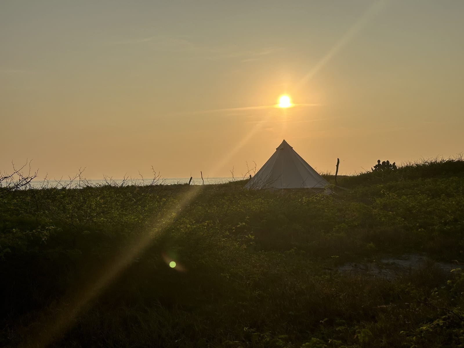Beachfront camping at sunset